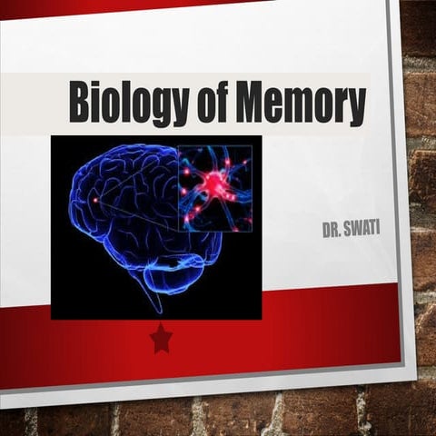 Neurobiology of memory