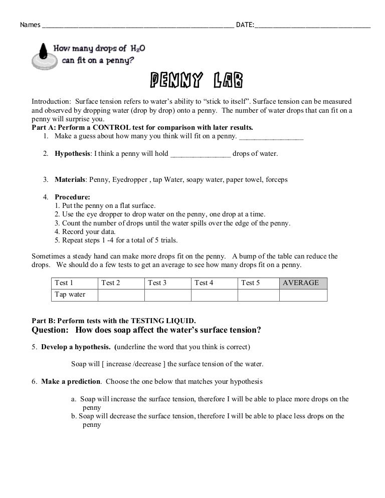 BIOLOGY PENNY LAB
