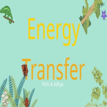 Biology Presentation Energy Transfer.pptx