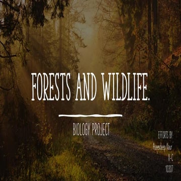 Biology Project on forests and wildlife.pdf
