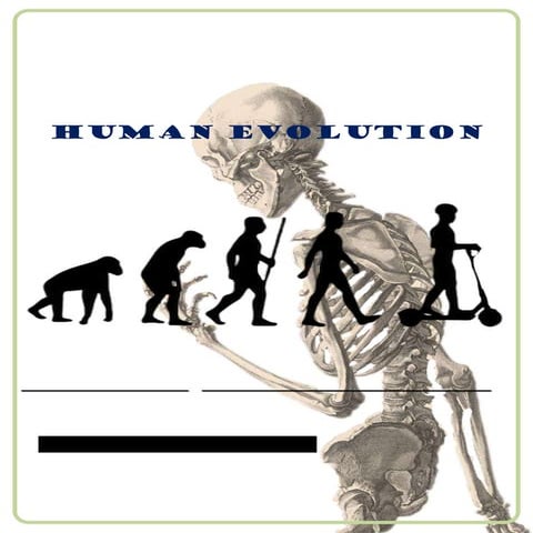 7 stages of human evolution by Jhairra Vel J. Lopez and Simone ...