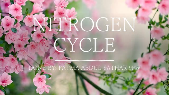 NITROGEN CYCLE DONE BY: FATMA ABDUL SATHAR 9FW