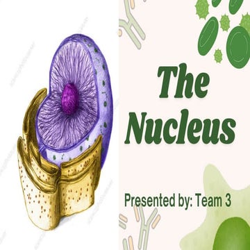 Nucleus reporting presentation for Molecular Biology