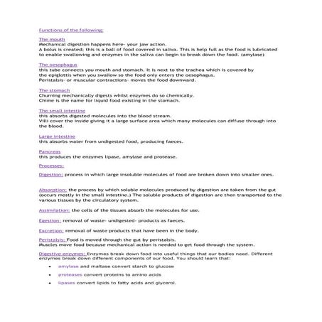 Biology revision notes (I)GCSE