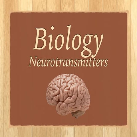 Psych: Neurotransmitters