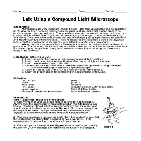 Biology using microscope lab