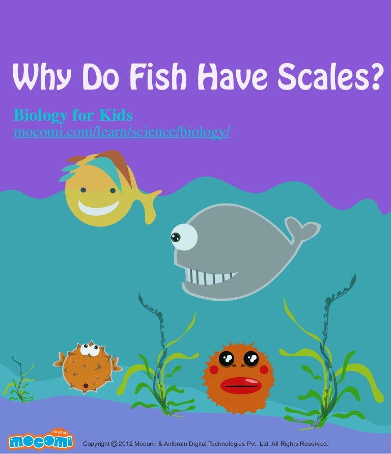 Why Do Fish Have Scales?