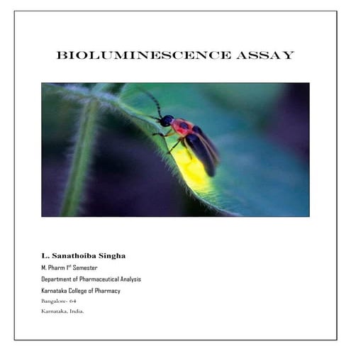 Bioluminescence Assay