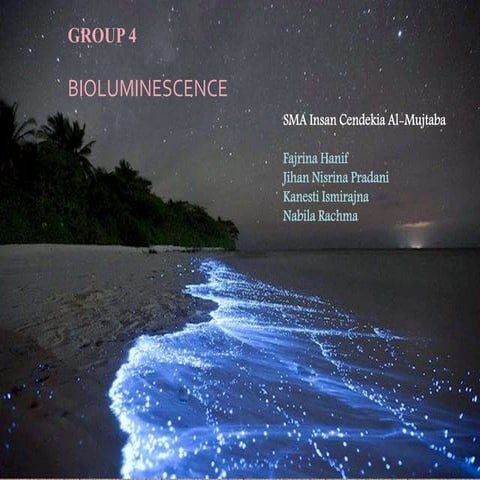 Bioluminescent dinoflagellates