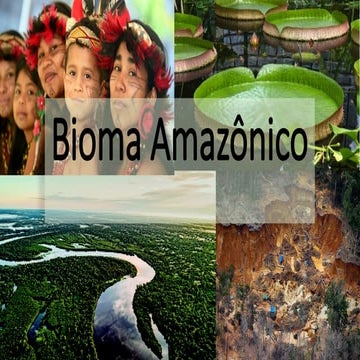 Bioma Amazônico. rapido entendimento do sistema amazonico | PPTX