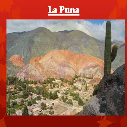 Bioma de la puna (nico)