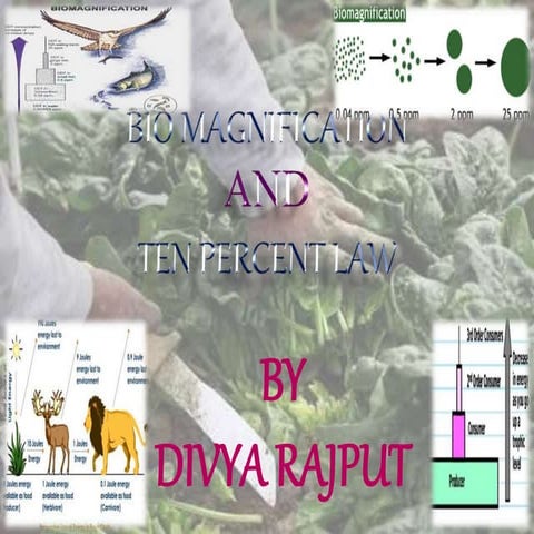 Biomagnification and 10% law