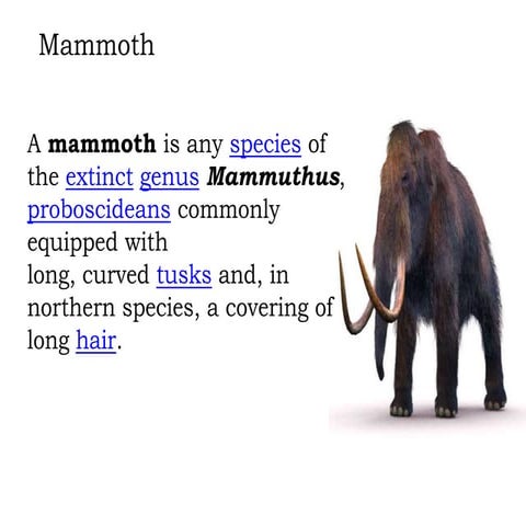 geologic time table in biology