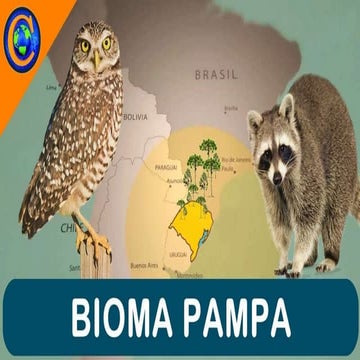 BIOMA PAMPA.pptx