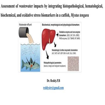 Biomarker assessments in Mystus tengara against pollutin stress.pptx