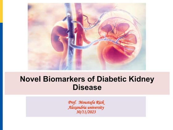 Renal Biomarkers for Early Detection, A Breakthrough in Kidney Disease ...