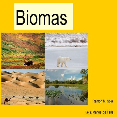 Biomas