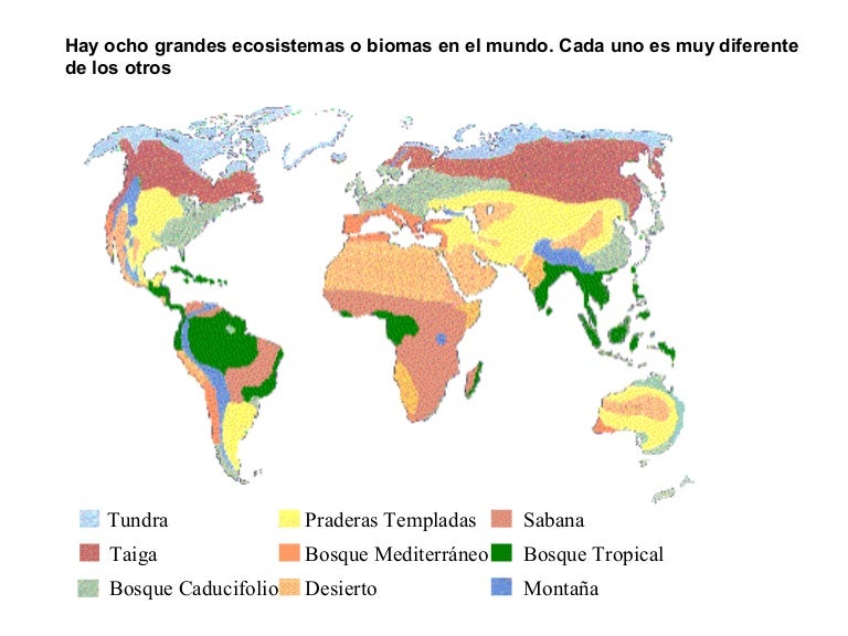 Resultado de imagen para mapa  biomas   mundial