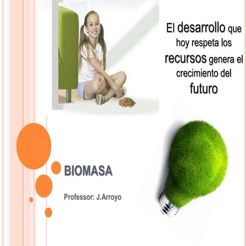 Energía de la biomasa