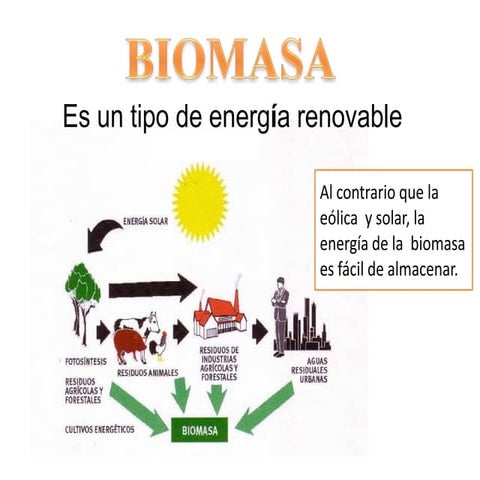 La biomasa. pdf presentación donde se habla acerca de la biomasa | PDF
