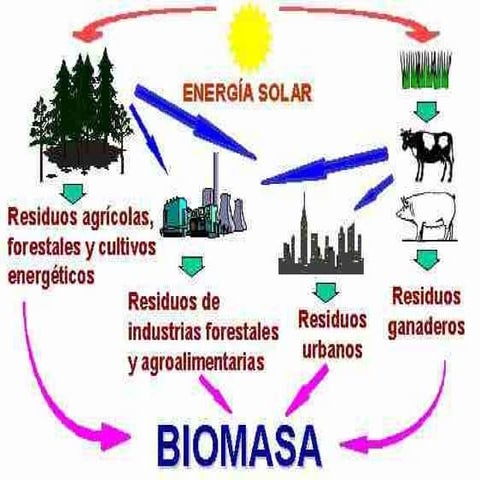 Biomasa. cuadro comparativo | PDF