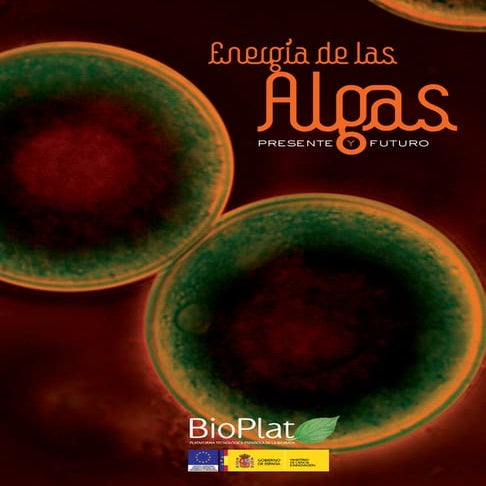 Biomasa de las algas