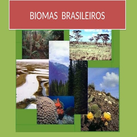 slides sobre biomas brasileiros | PPTX