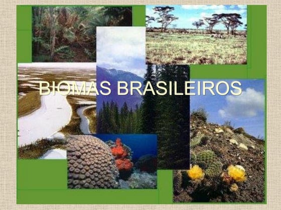Os biomas Brasileiros - Mapa mental dos biomas brasileiros. | PDF