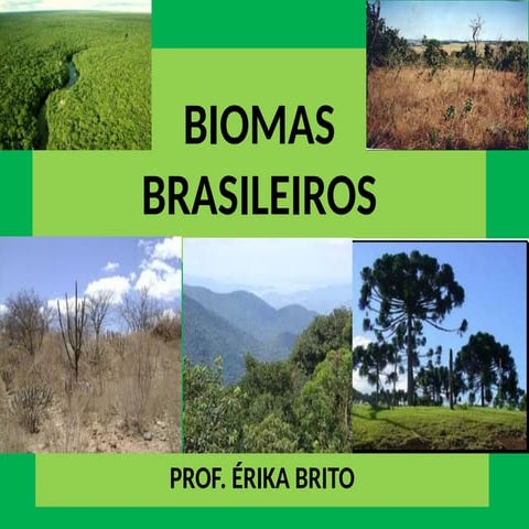 Aula sobre Biomas do Brasil e do mundo- slide | PPTX