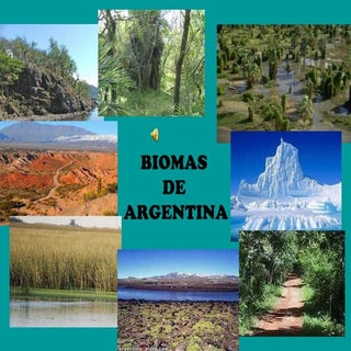 Biomas de argentina
