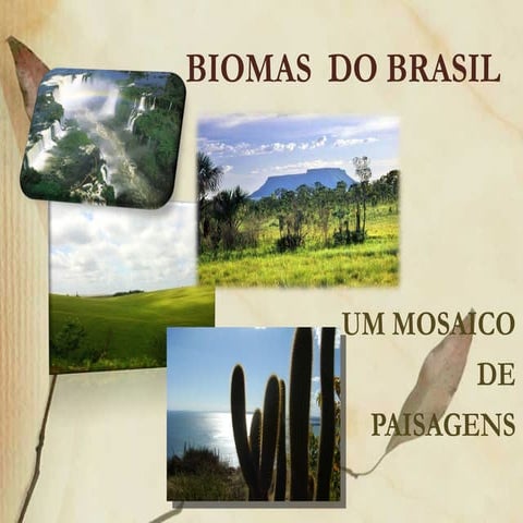 Biomas do brasil | PPT