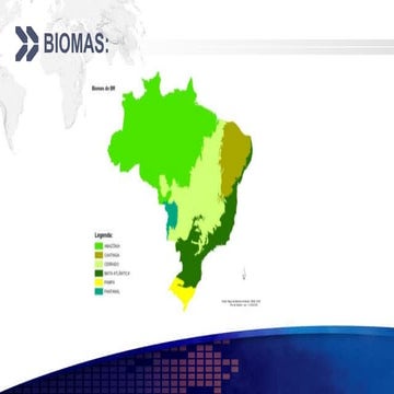 Biomas do Brasil para 1° ano do ensino médio | PPT