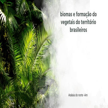 BIOMAS E FORMAÇÃO DOS VEGETAIS DO TERRITÓRIO BRASILEIRO .pdf