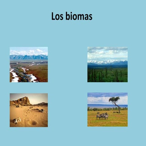 Biomas leo