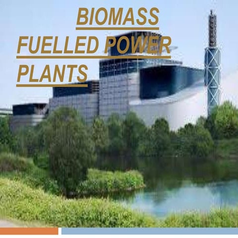 Biomass Fuelled Power Plants