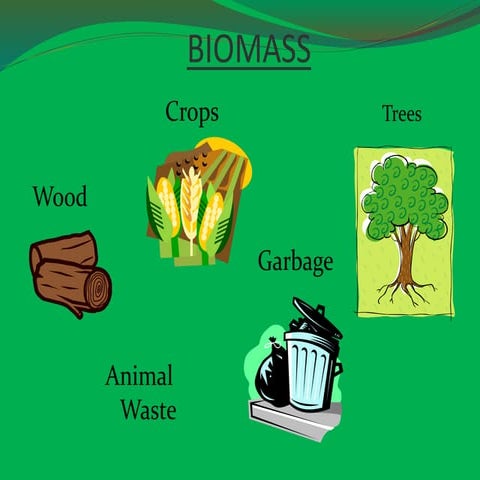 Biomass