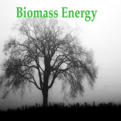 Biomass-ppttertertertertertertretreter.ppt