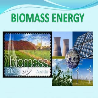 Biomass Energy by Álex Ferreirós