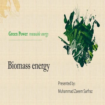 Biomass Energy (Easily Explained)