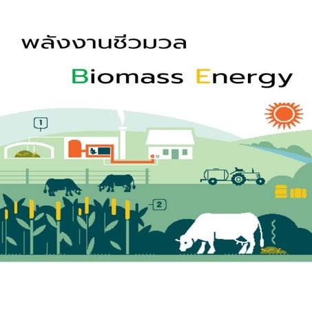 Biomass energy 