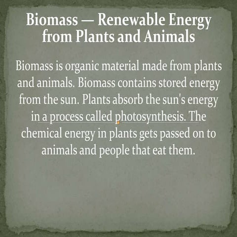 Biomass — renewable energy from plants and animals