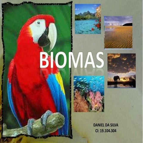 Biomas trabajo final