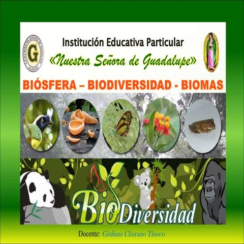 Biomas  y  biosfera