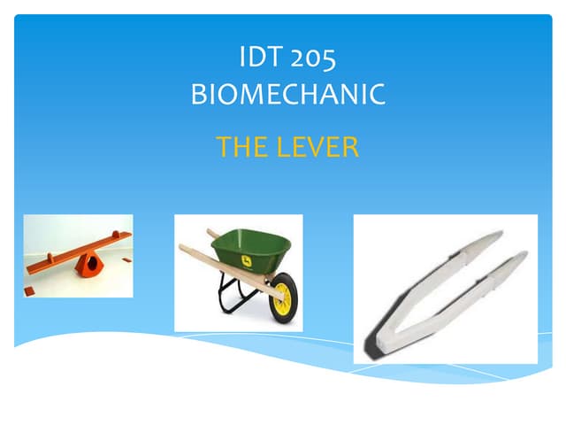 Lever system - Exercise therapy | PDF