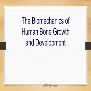 The Biomechanics of Human Bone Growthand Development