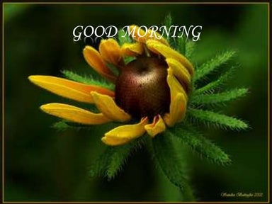 Biomechanical principles of TOOTH PREPARATION