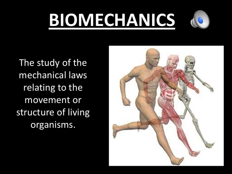 Biomechanics