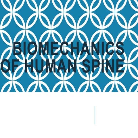 Biomechanics of human spine.