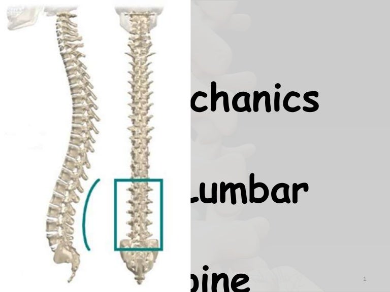 Biomechanics of lumbar spine
