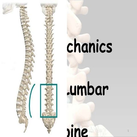 Biomechanics of lumbar spine